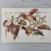 Antique Raphael Tuck Booklet-Circa 1890s