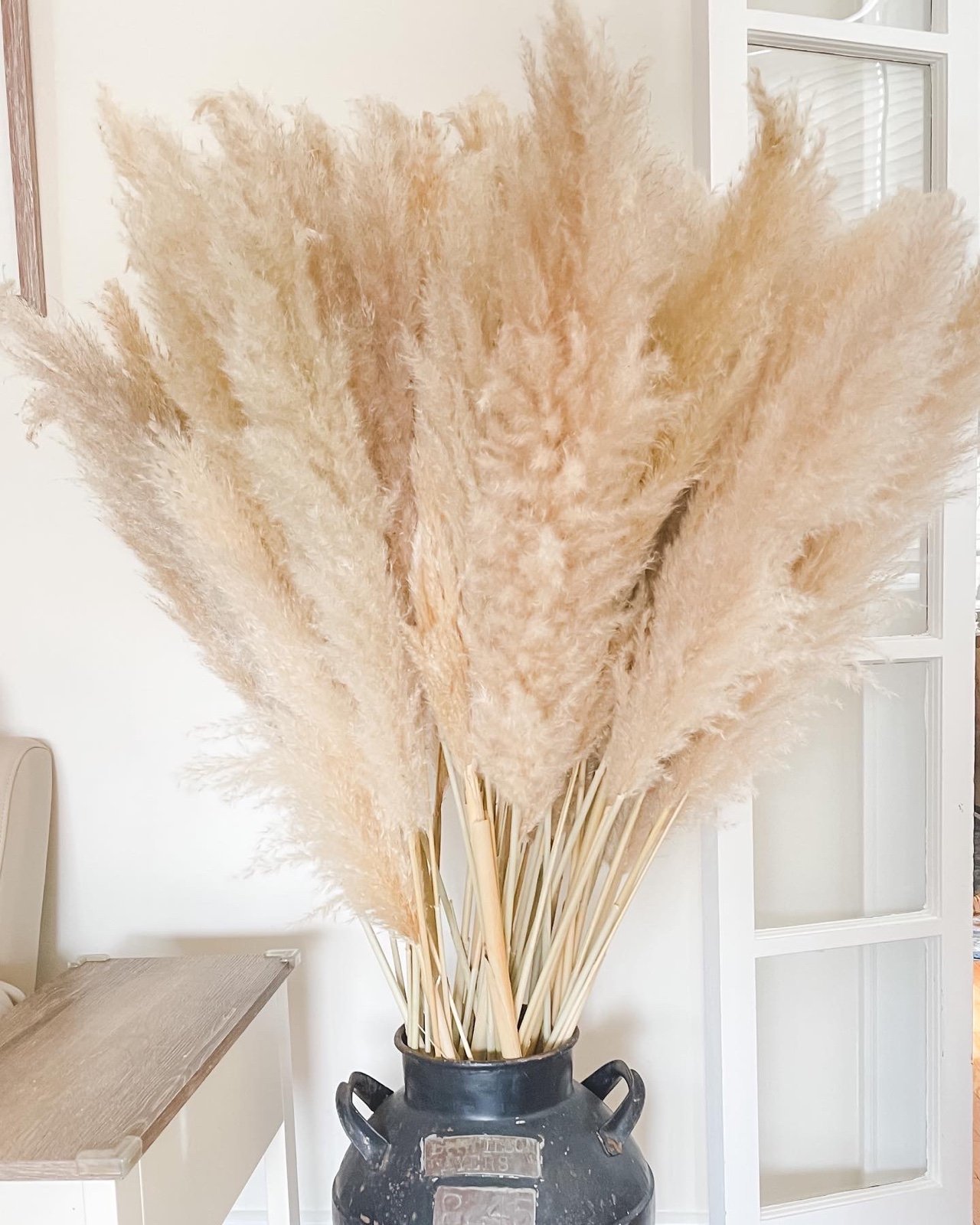50 XL Dried Pampas Grass Stems for Wedding or Decor