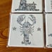 Love Rocks Maine Stone Coasters