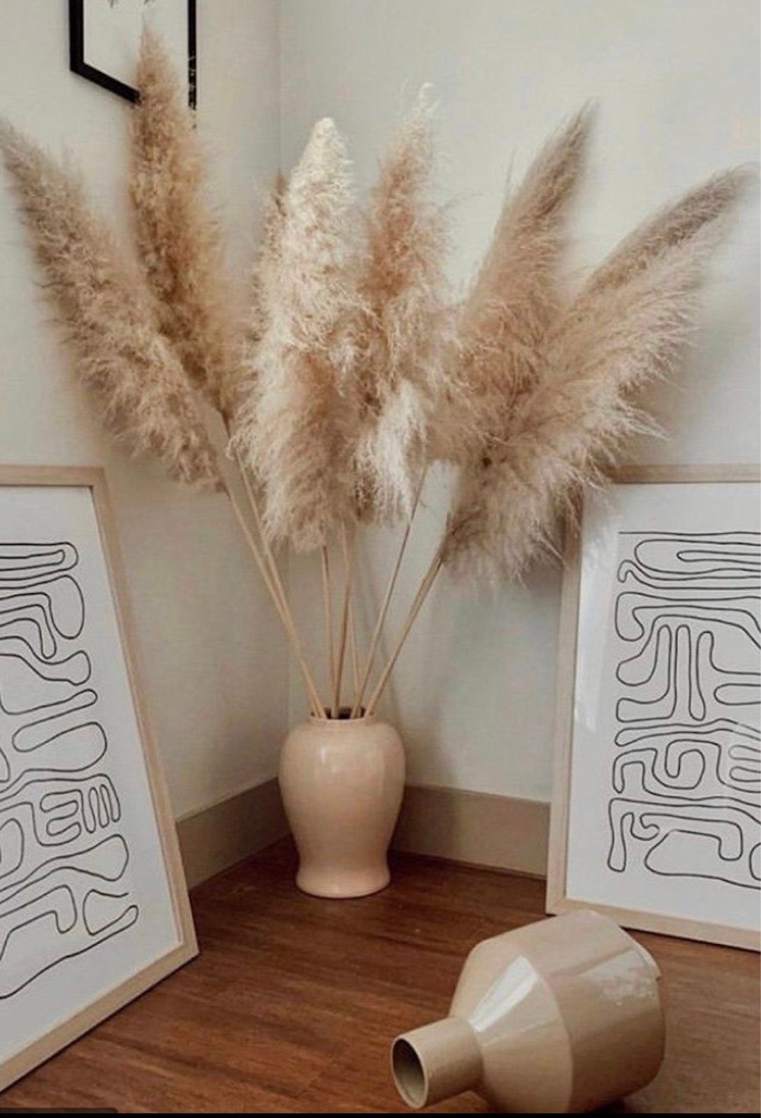 pampas grass