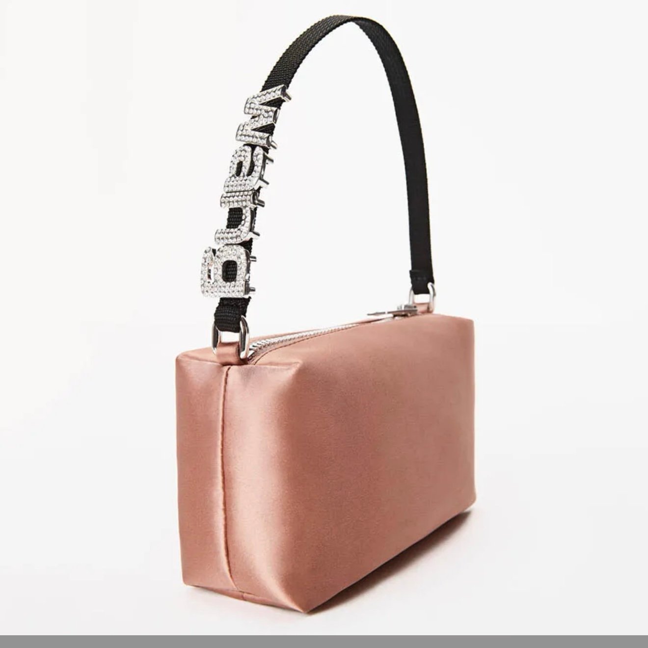 ▪️NWT ALEXANDER WANG Heiress Medium Pouch
