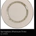 Set Of 4 LENOX **Springdale** (Platinum Trim) Dinner Plates