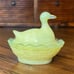 Uranium Opalized Duck on Nest