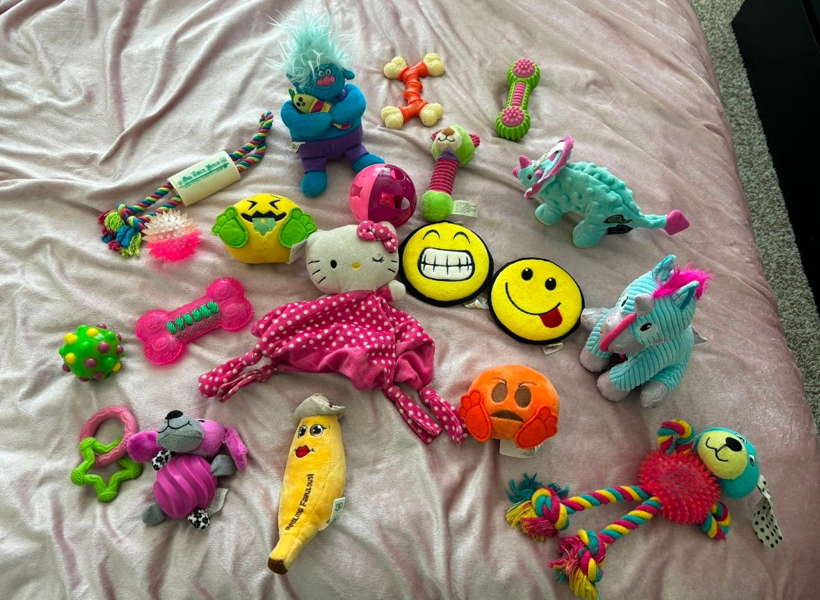 Assorted Dog Toys