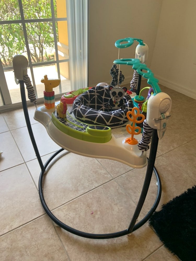 Fisher-Price Animal Wonders Jumperoo!