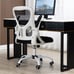 Ergonomic Chairs Armrests, Black/White