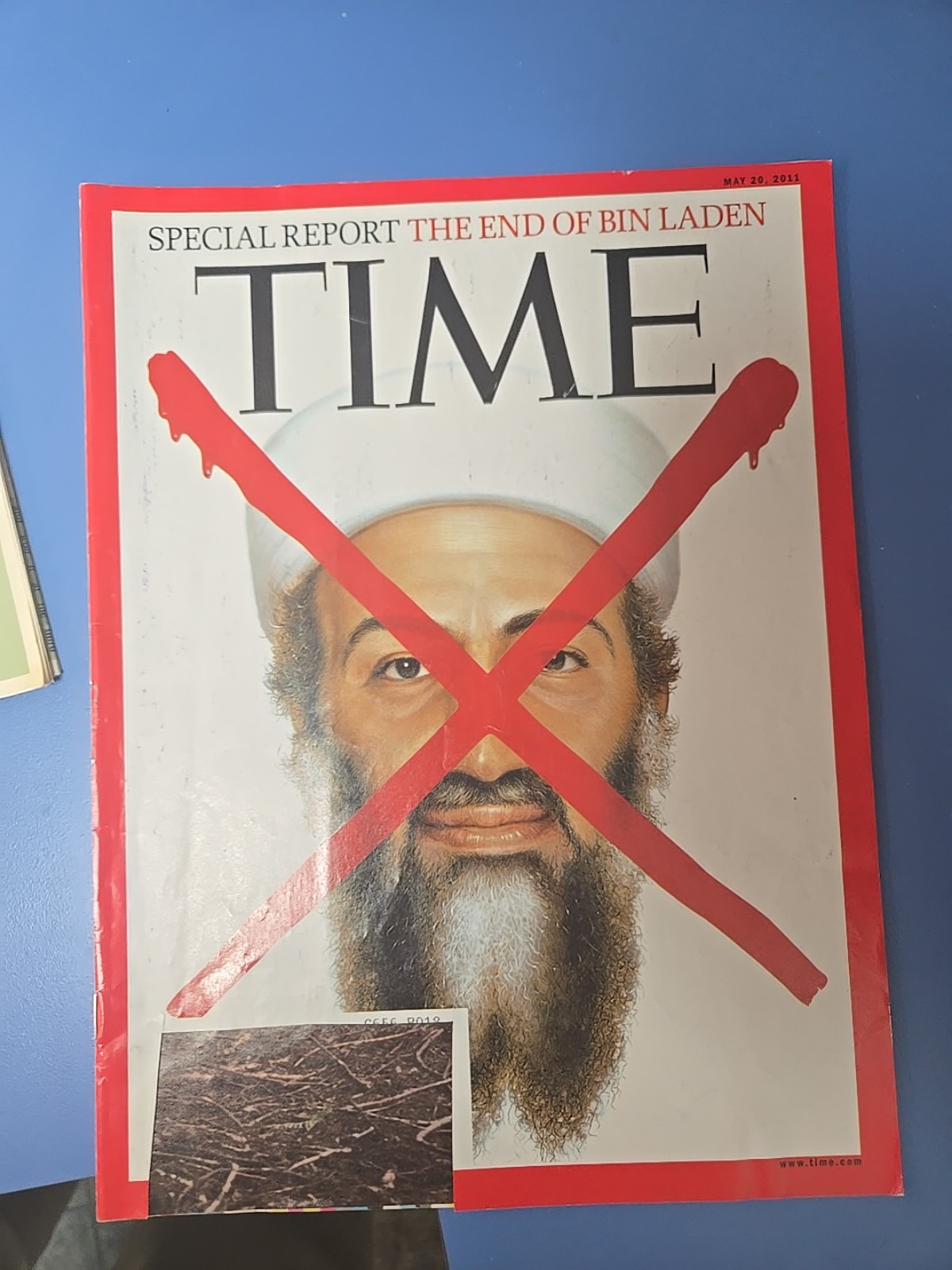 SPECIAL REPORT THE END OF BIN LADEN