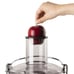 electric Juicer