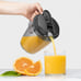 electric Juicer
