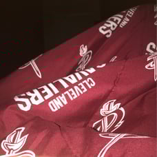 Cavaliers Sheet
