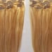 20 100% Clip in Human Hair Extensions 7Pcs,14 clips # 27/613