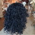 Used Curly Beauty Lace Front Wig