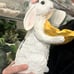Gorgeous solar bird feeder - bunny with flowers 17”