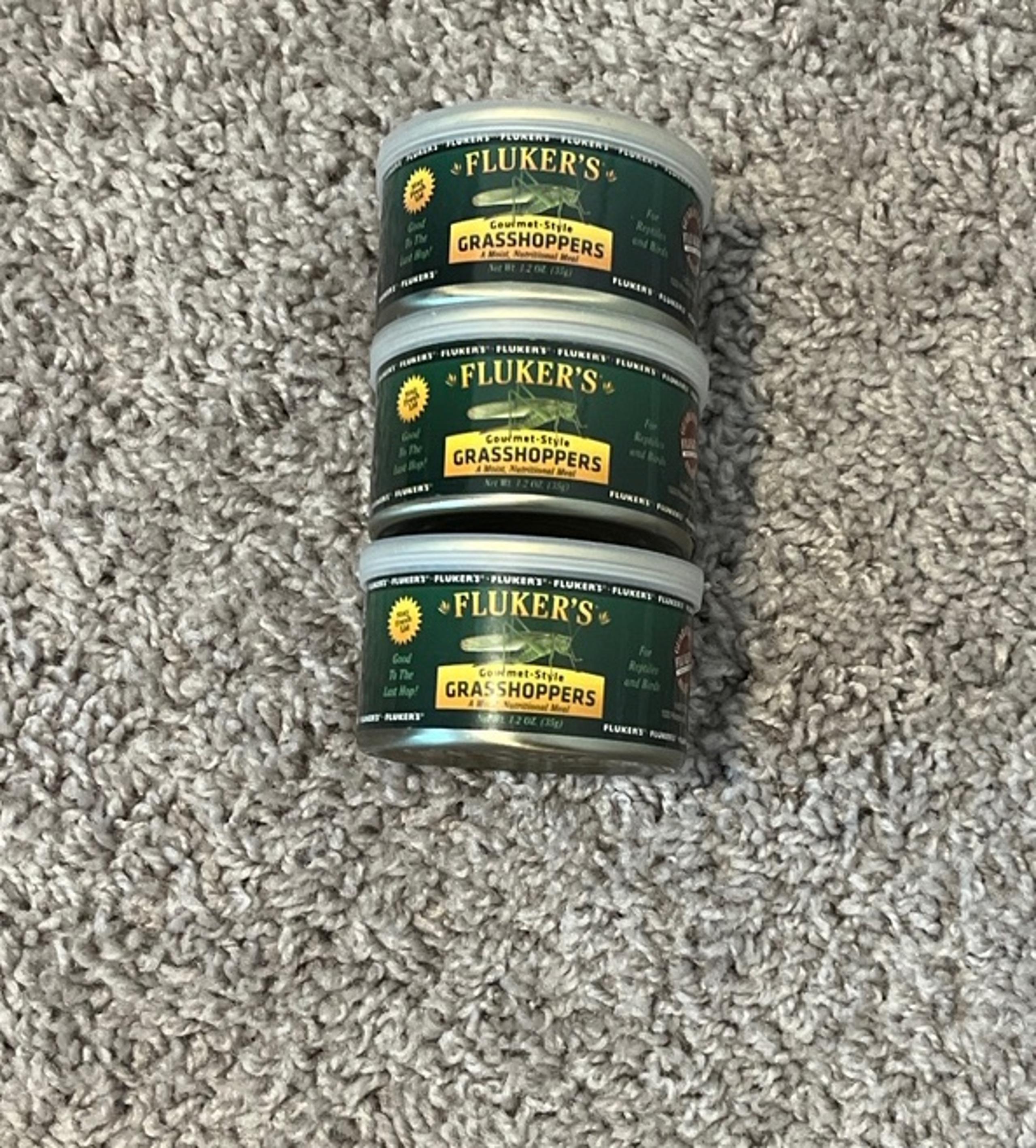 Flukers Gourmet-style grasshoppers