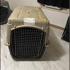 Large dog cage