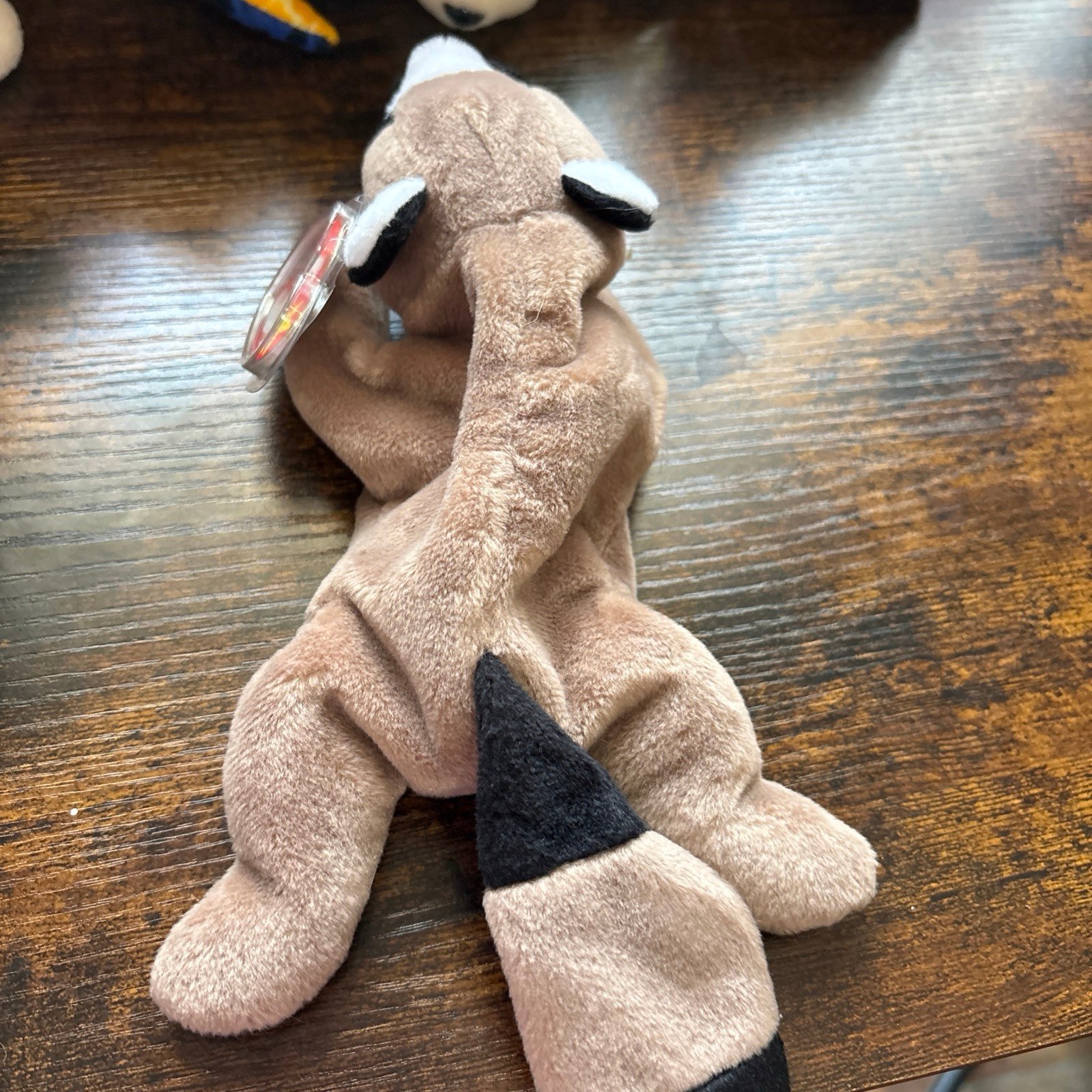 Ty Beanie Baby Ringo with tag
