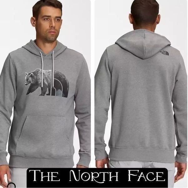 The North Face TNF Bear Pullover Hoodie L