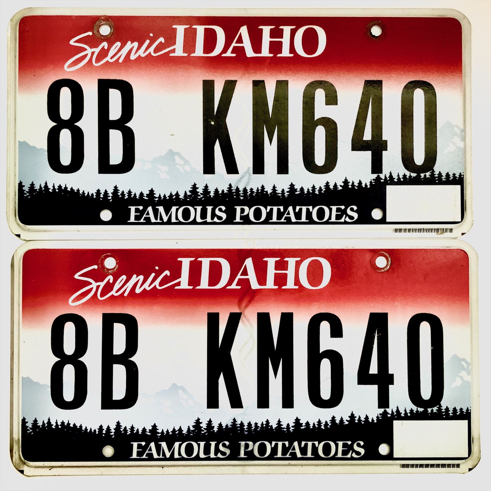 Idaho License Plate Pair KM640
