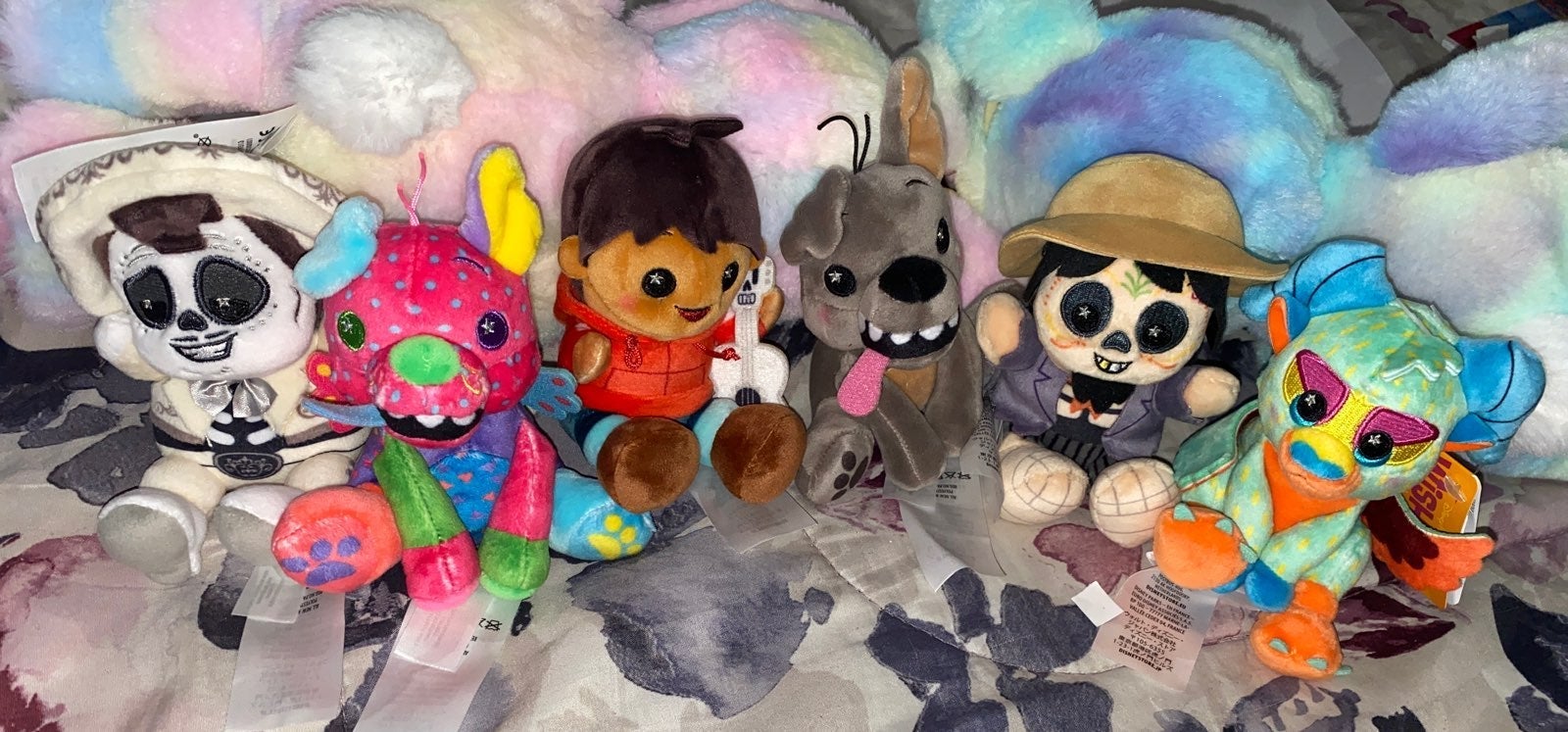 Disney parks wishables coco
