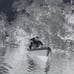 1940 Huge Lot of Negatives - Wisconsin Dells, Black River H. Paulson TB8