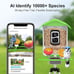 birdsnap AI Smart Bird Feeder w/Camera & 64G SD Card. Bird Watching/Watch er Fav