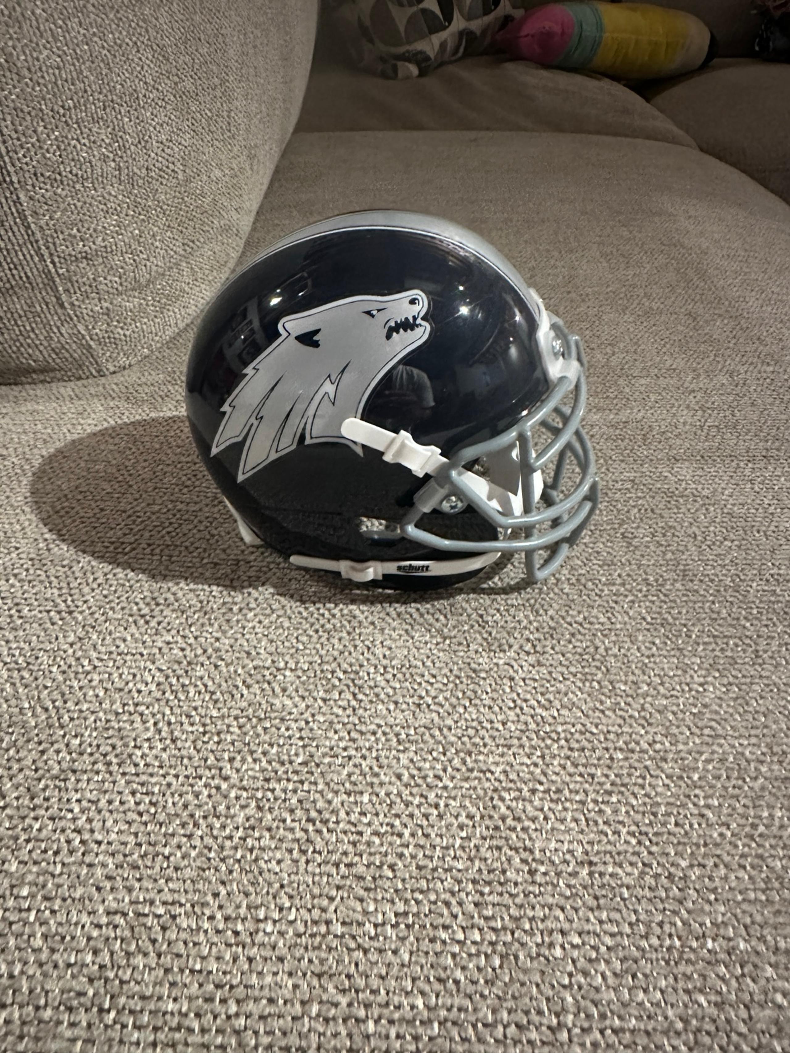 Helmet