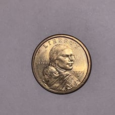 2000 P minted Sacagawea One Dollar US Coin