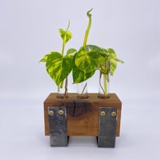 Propagation Station Plant cutting 3tubes