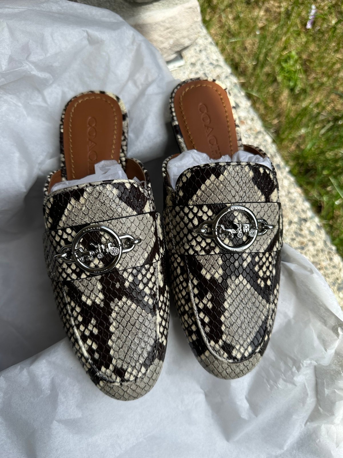 Coach Womens Scotty Python Slide Natural FG2953 (Size 5)