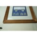 Soviet Union Waterfowl Stamps 1989-1991 | Gold-Framed Display Page | Collectible