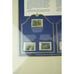 Soviet Union Waterfowl Stamps 1989-1991 | Gold-Framed Display Page | Collectible