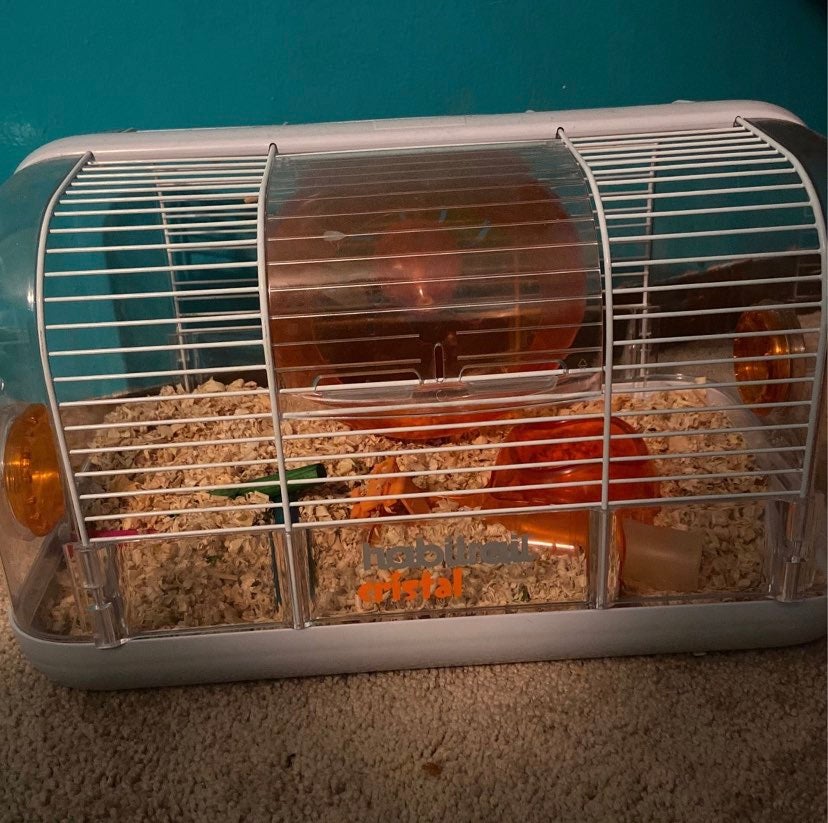 hamster cage