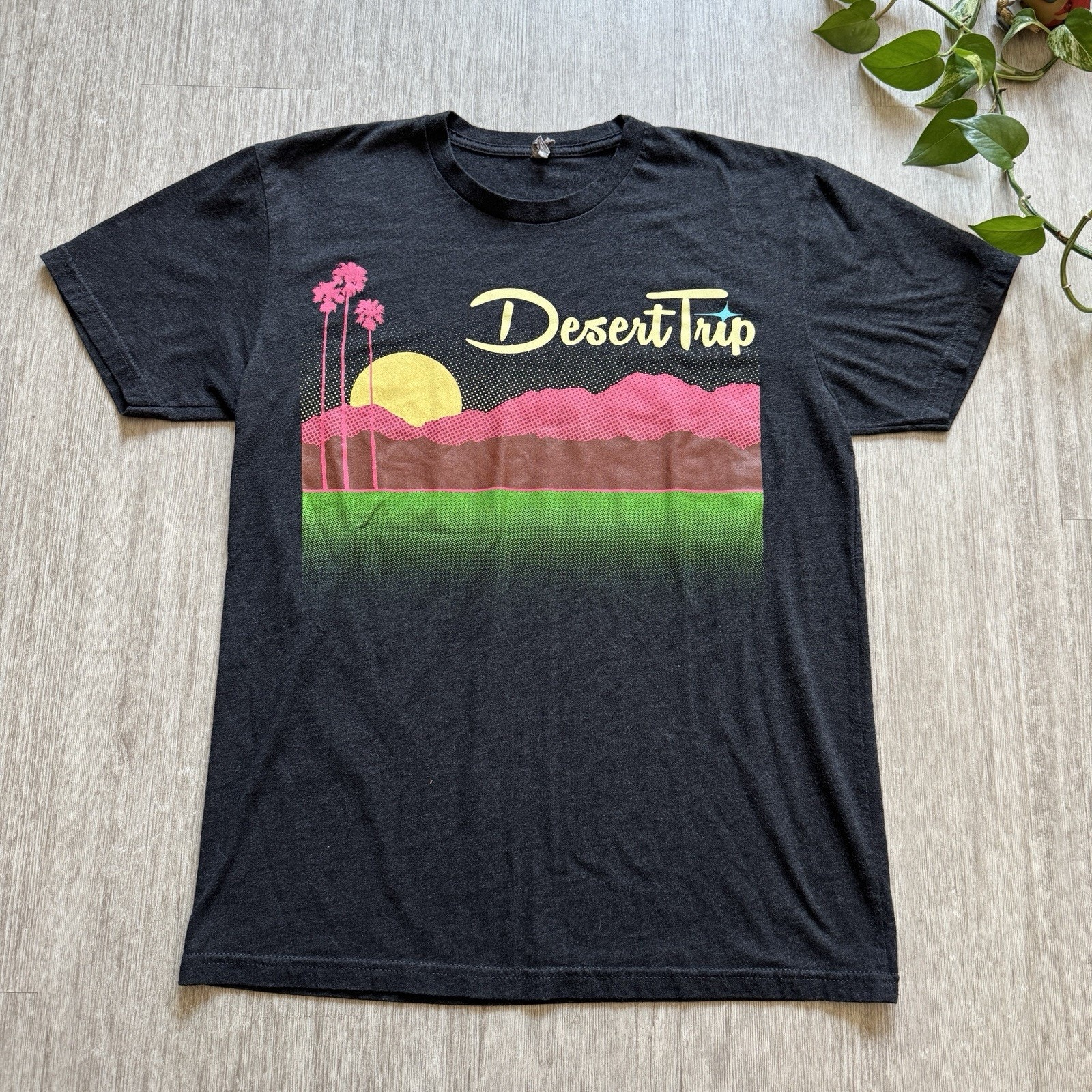 Desert Trip Dylan Stones Who McCartney Young Original Concert Tour Tee Shirt L