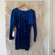 NWT: Ronny Kobo Sasha Crushed Velvet Dress
