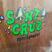 Santa Cruz Skateboards Erick Winkowski Birdcage 10.34x30.54x15WB NEW Sealed