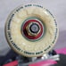 Quasi Skateboards With Venture Trucks