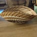Murano Glass shell