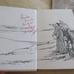 Lot 2 Children's Bible Stories-Captive