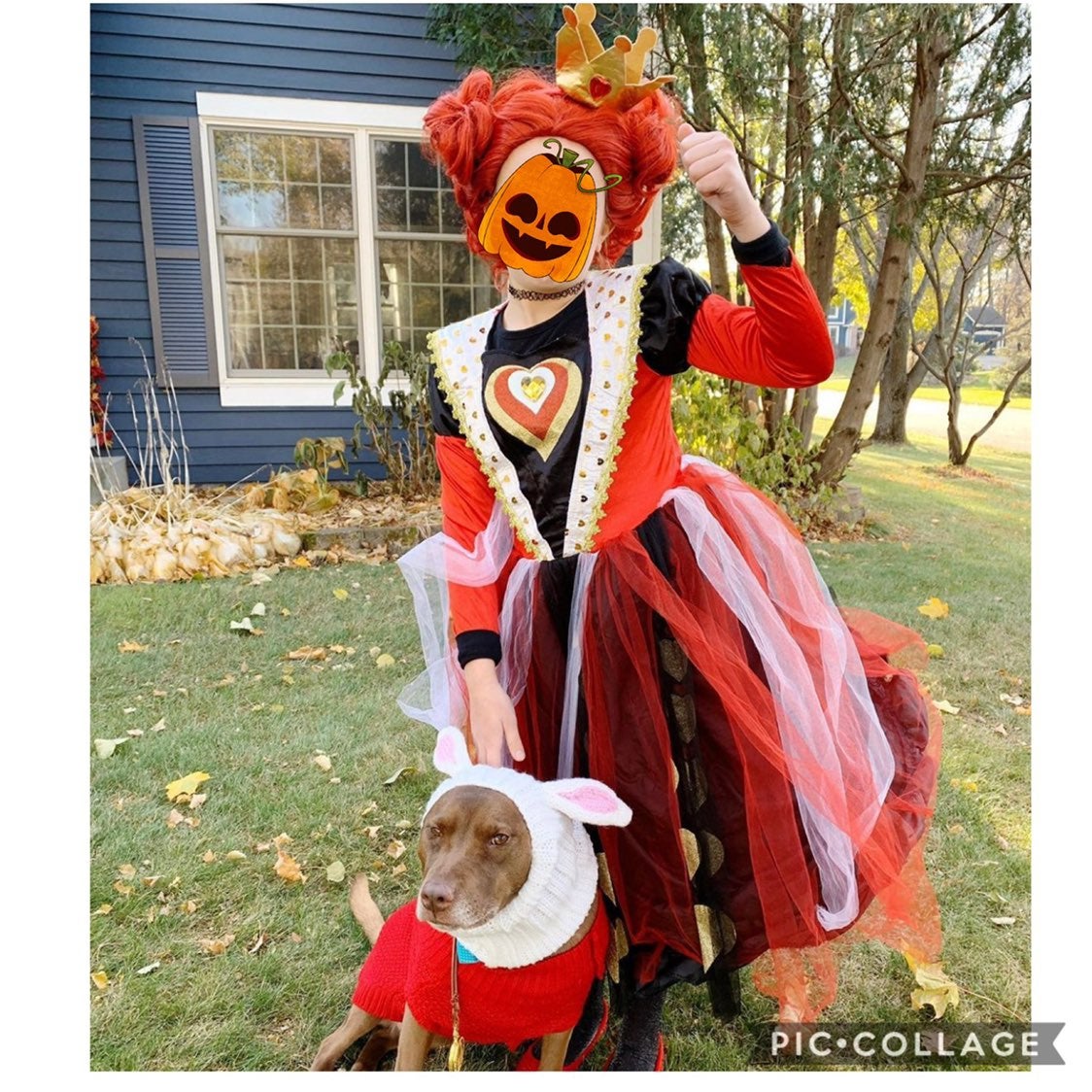 Queen of Hearts kids costume