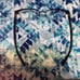 Dkny glasses