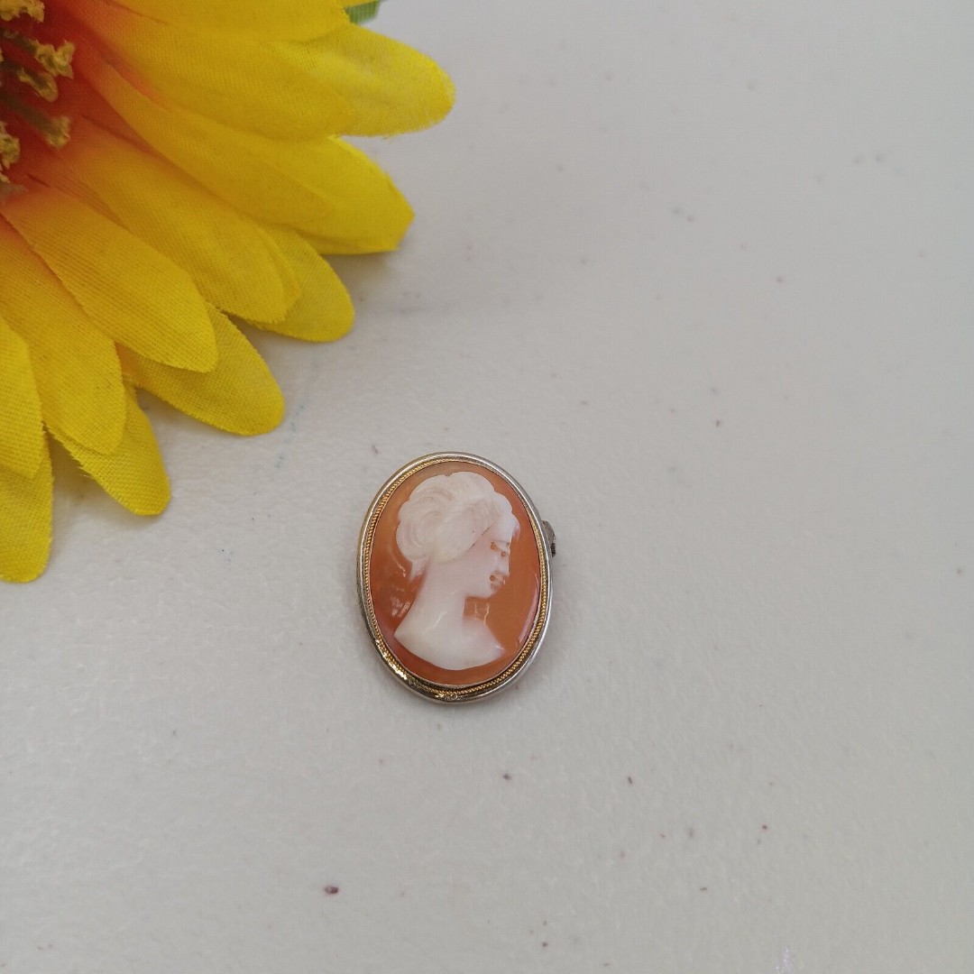 Vintage 800 Silver Carved Shell Cameo Brooch/Pin/Pendant Right Facing