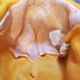 Pokemon Charizard Child youth Costume Rubie's L orange jumpsuit hat 2017