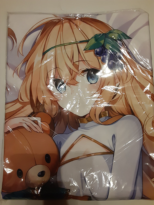 KonoSuba Iris Kadokawa Dakimakura Cover 160x50cm 2-Way Tricot Unopened