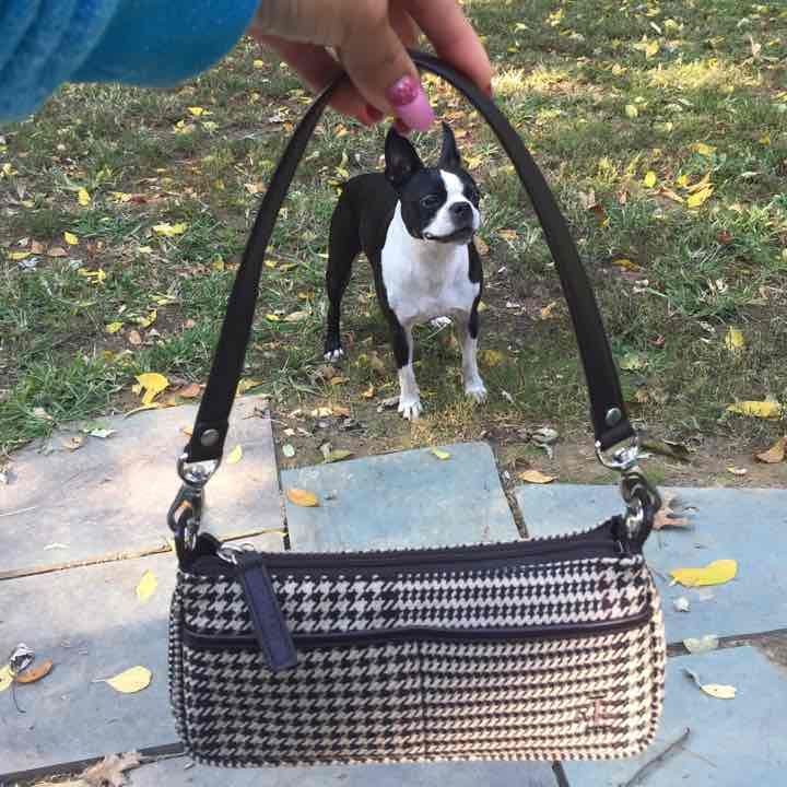 Ralph Lauren Clutch Bag -Never been used