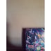 ✨Pokemon Stellar Miracle Booster Box Japanese SEALED US Seller