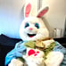 Morph Costumes Easter Bunny Costume Halloween Rabbit Costume Adult Size Large