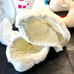 Morph Costumes Easter Bunny Costume Halloween Rabbit Costume Adult Size Large