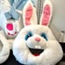 Morph Costumes Easter Bunny Costume Halloween Rabbit Costume Adult Size Large