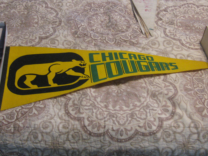 WHA Chicago Cougars Vintage Defunct Circa 1973 WHA Team Logo Hockey Pennant vg+