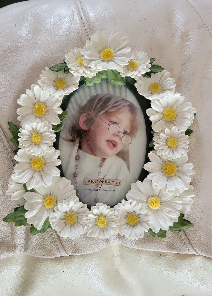 Fancy Frames Daisy Frame. New